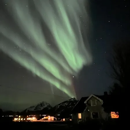 Cozy Older House In The Middle Of Lofoten Vakantiehuis *